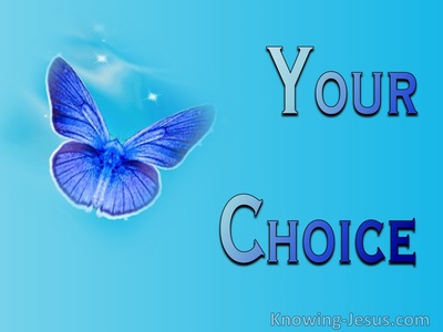 Your Choice